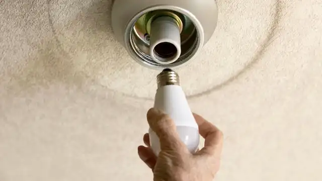 簡単なお手伝い